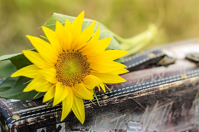 Envio de flores para o exterior no dia dos namorados