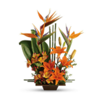 Arranjo com Flores Tropicais