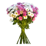 Bouquet of chrysanthemums