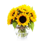 Buquê de Girassóis