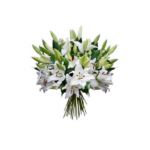 Bouquet of lilies